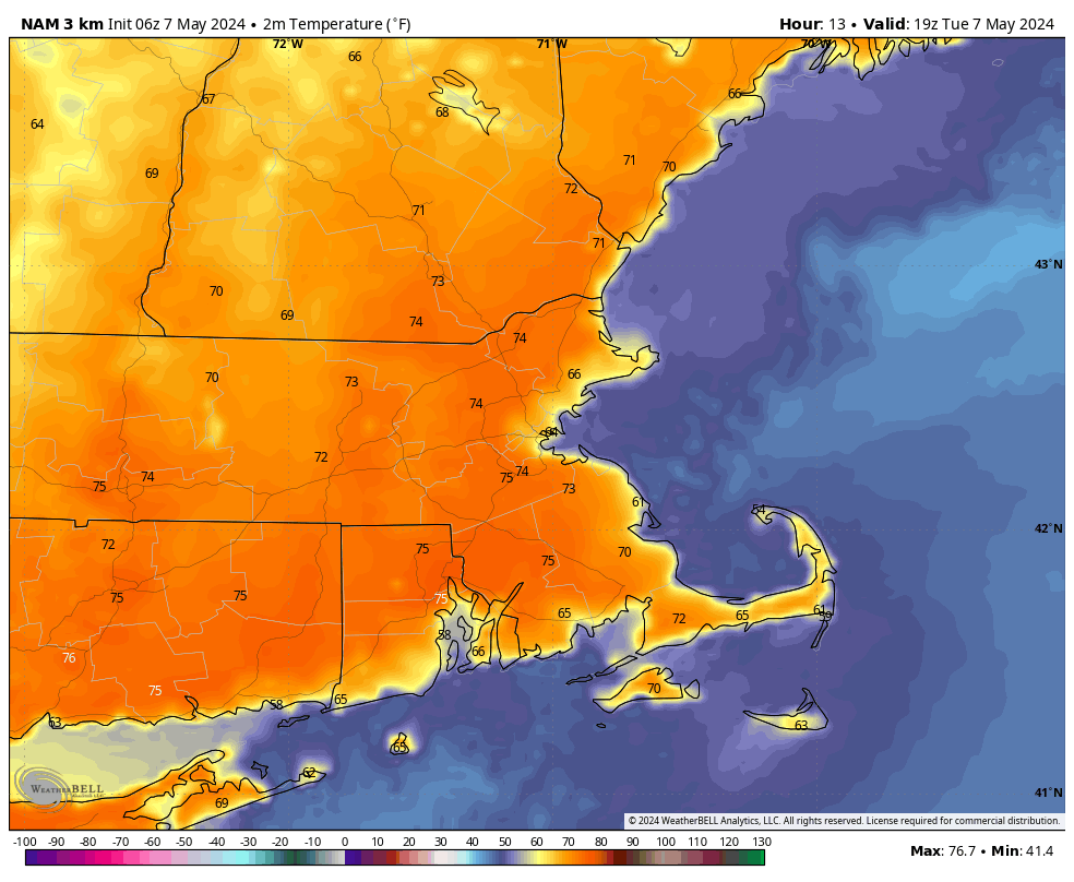 Sunny and Mild Today